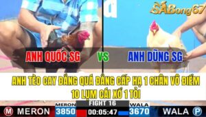 TRẬN 16 CPC3 09/11/2024 : ANH QUỐC SÀI GÒN VS ANH DŨNG SÀI GÒN