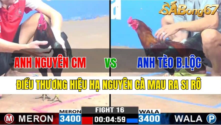 TRẬN 14 CPC2 20/11/2024 : ANH THIÊN VS ANH TRUNG