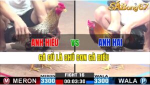 TRẬN 16 CPC3 21/11/2024 : ANH HIẾU BẾN TRE VS ANH HAI HÓC MÔN