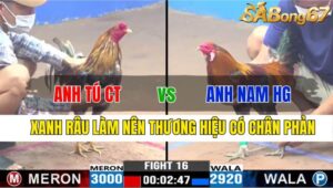 TRẬN 16 CPC3 25/11/2024 : ANH TÚ CẦN THƠ VS ANH NAM HẬU GIANG