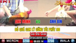 TRẬN 17 CPC1 23/11/2024: ANH MINH L.AN VS ANH BIN SG