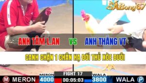 TRẬN 17 CPC3 13/11/2024 : ANH TÂM LONG AN VS ANH THẮNG VŨNG TÀU