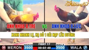 TRẬN 17 CPC3 16/11/2024 :ANH KHOA BẾN TRE VS ANH KHOA BẾN LỨC