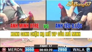 TRẬN 17 CPC3 19/11/2024 : ANH MINH BẾN TRE VS ANH TÈO BẢO LỘC