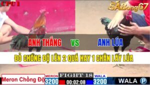 TRẬN 18 CPC1 23/11/2024: ANH THẮNG BTRE VS ANH LÚA LONG AN