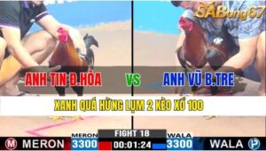 TRẬN 17 CPC3 16/11/2024 : ANH TIN ĐỨC HÒA VS ANH VŨ BẾN TRE