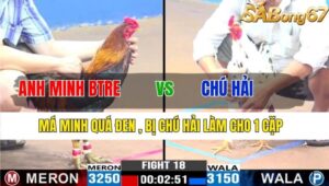 TRẬN 18 CPC3 17/11/2024 : ANH MINH BẾN TRE VS CHÚ HẢI