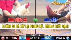 TRẬN 18 CPC3 19/11/2024 : ANH DŨNG SÀI GÒN VS ANH MẬP