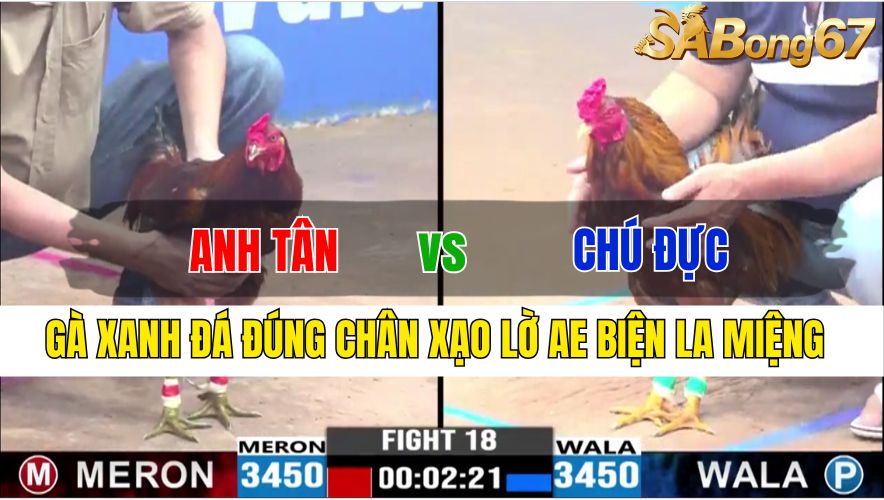 TRẬN 18 CPC3 21/11/2024 : ANH TÂN INOX VS CHÚ ĐỰC