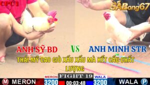 TRẬN 19 CPC1 04/11/2024 : ANH SỸ BÌNH DƯƠNG VS ANH MINH SÓC TRĂNG