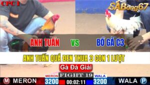 TRẬN 19 CPC1 23/11/2024: ANH TUẤN VS BỒ GÀ C3