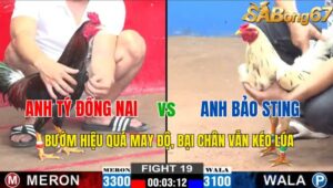 TRẬN 19 CPC2 03/11/2024 : ANH TÝ ĐỒNG NAI VS A BẢO STING