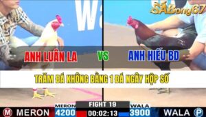 TRẬN 19 CPC3 17/11/2024 : ANH LUÂN LONG AN VS ANH HIẾU BÌNH DƯƠNG