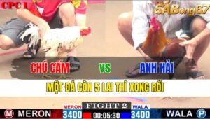 TRẬN 2 CPC1 18/11/2024 : CHÚ CẤM VS ANH HẢI