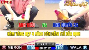 TRẬN 2 CPC1 21/11/2024 : ANH KIỀU VS ANH QUYỀN SG