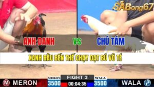 TRẬN 3 CPC2 17/11/2024 : ANH DANH VS CHÚ TÁM