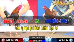 TRẬN 2 CPC2 20/11/2024 : ANH TƯ LONG AN VS ANH BẢO STING