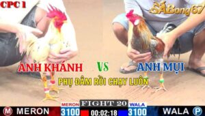 TRẬN 20 CPC1 04/11/2024 : ANH KHÁNH VS ANH MỤI