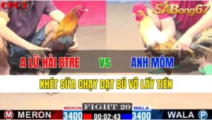 TRẬN 20 CPC1 18/11/2024 : ANH LỮ HẢI BẾN TRE VS ANH MÓM