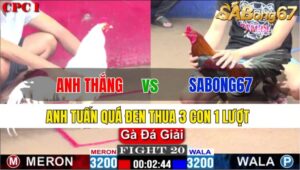 TRẬN 20 CPC1 23/11/2024: ANH BẾN TRE A VS SABONG67