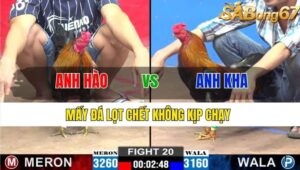 TRẬN 20 CPC2 17/11/2024 : ANH HÀO VS ANH KHA