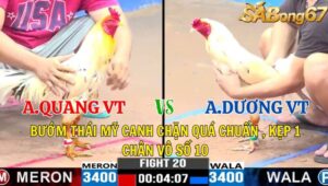 TRẬN 20 CPC3 04/11/2024 : ANH QUANG VŨNG TÀU VS ANH DƯƠNG VŨNG TÀU