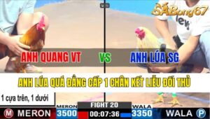 TRẬN 20 CPC3 06/11/2024 : ANH QUANG VŨNG TÀU VS ANH LÚA SÀI GÒN