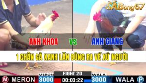 TRẬN 20 CPC3 21/11/2024 : ANH KHOA BTRE VS ANH GIANG ĐH