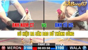 TRẬN 20 CPC3 25/11/2024 : ANH NAM CẦN THƠ VS ANH TÚ HẬU GIANG