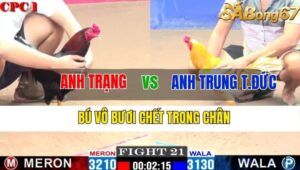 TRẬN 21 CPC1 11/11/2024 : ANH TRẠNG VS ANH TRUNG THỦ ĐỨC