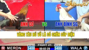 TRẬN 21 CPC2 08/11/2024 : ANH CƠ VS ANH BÌNH SÀI GÒN