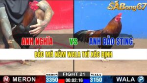 TRẬN 21 CPC2 15/11/2024 : ANH NGHĨA VS ANH BẢO STING