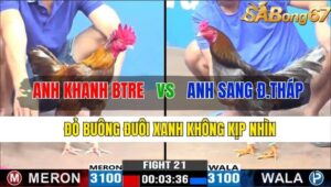 TRẬN 21 CPC3 10/11/2024 : ANH KHANH BẾN TRE VS ANH SANG ĐỒNG THÁP