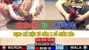 TRẬN 22 CPC1 23/11/2024: ANH DỰ BẢO LỘC VS BLV AD BÁO