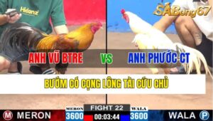 TRẬN 22 CPC2 06/11/2024 : ANH VŨ BẾN TRE VS ANH PHƯỚC CẦN THƠ