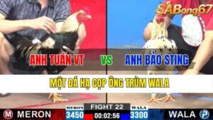 TRẬN 22 CPC2 13/11/2024 : ANH TUẤN VŨNG TÀU VS ANH BẢO STING