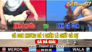 TRẬN 22 CPC2 24/11/2024: ANH PHƯỚC ĐT VS ANH GÀ CON