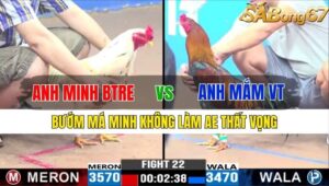 TRẬN 22 CPC3 15/11/2024 : ANH MINH BẾN TRE VS ANH MẮM VŨNG TÀU