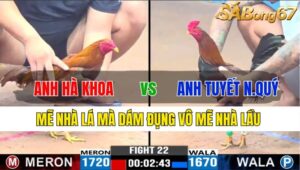 TRẬN 22 CPC3 18/11/2024 : ANH HÀ KHOA VS ANH TUYẾT NHÂN QUÝ