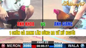 TRẬN 22 CPC3 21/11/2024 : ANH HOÀNG FC VS ANH TÈO BẾN TRE