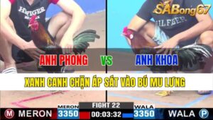 TRẬN 22 CPC3 22/11/2024: ANH PHONG ĐT VS ANH KHOA BẾN LỨC