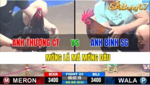 TRẬN 22 CPC3 25/11/2024 : ANH THƯỢNG CẦN THƠ VS ANH BÌNH SÀI GÒN