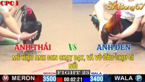 TRẬN 23 CPC1 04/11/2024 : ANH THÁI VS ANH ĐEN