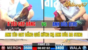 TRẬN 23 CPC3 06/11/2024 : ANH TÈO CAY ĐẮNG VS ANH BÚA BẾN TRE