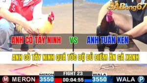 TRẬN 23 CPC3 08112024 ANH CÒ TÂY NINH VS ANH TUẤN KEN