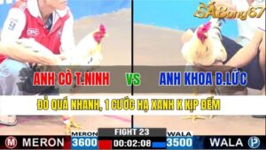 TRẬN 23 CPC3 16/11/2024 : ANH CÒ TÂY NINH VS ANH KHOA BẾN LỨC