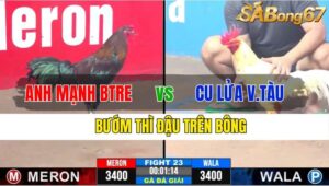 TRẬN 23 CPC3 25/11/2024 : ANH MẠNH BẾN TRE VS ANH CU LỬA VŨNG TÀU