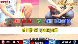 TRẬN 24 CPC1 12/11/2024 : ANH MÕ HOÓC MÔN VS ANH THẮNG BẾN TRE