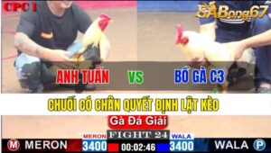 TRẬN 24 CPC1 23/11/2024: ANH TUẤN VL VS BỒ GÀ C3