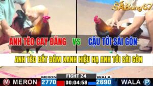 TRẬN 18 CPC2 08/11/2024 : CHÚ CẤM VS ANH THIÊN